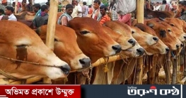 বিশেষ ট্রেনে কোরবানির পশু আসবে রাজধানীতে
