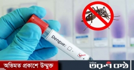 ডেঙ্গুতে আরো ৩ জনের মৃত্যু, হাসপাতালে ভর্তি ৪১২