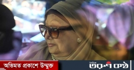 খালেদা জিয়াকে দেখতে যাবেন পাকিস্তানের পররাষ্ট্রমন্ত্রী