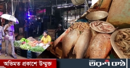 মাছের দাম চড়া, সবজির কমেছে