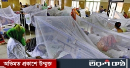 ডেঙ্গু আক্রান্ত ২ জনের মৃত্যু, হাসপাতালে ১৮২