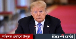 ভাতিজির বিরুদ্ধে মামলা করলেন ট্রাম্প