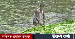 ধরলা নদীর পানি কমেছে.বেড়েছে ভাঙ্গন