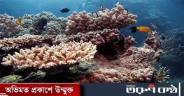 গ্রেট ব্যারিয়ার রিফকে বিশ্ব ঐতিহ্য থেকে বাদ দিবে ইউনেস্কো
