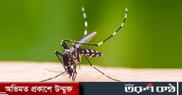 বাড়ছে ডেঙ্গুর প্রকোপ, হাসপাতালে ভর্তি শতাধিক রোগী বাড়ছে ডেঙ্গুর প্রকোপ, হাসপাতালে ভর্তি শতাধিক রোগী