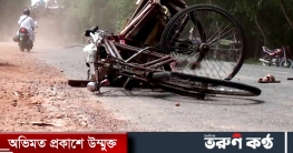 গাংনীর চৌগাছা সড়কে পাখী ভ্যানের ধাক্কায় শিশু নিহত