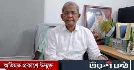 গাড়ি পোড়ানোর মামলায় মির্জা ফখরুলসহ ৭৭ জনকে অব্যাহতি