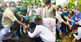 রবিবার ১১ টায় শ্যামলী ক্লাব মাঠে সাংসদ সাদেক খান এর বৃক্ষরোপণ রবিবার ১১ টায় শ্যামলী ক্লাব মাঠে সাংসদ সাদেক খান এর বৃক্ষরোপণ