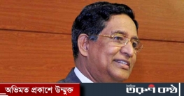 ১৫-২০ দিন পর পেঁয়াজের দাম কমবে