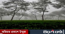 শ্রীমঙ্গলে কনকনে শীতে জনজীবন স্থবির