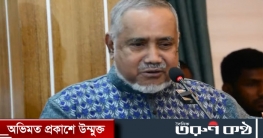 বিএনপি ধরে নিয়েছে তারাই ক্ষমতায় যাবে : জামায়াতের নায়েবে আমির