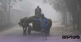 তেতুলিয়ায় জেঁকে বসেছে শীত, তাপমাত্রা নেমে ১৪.৭ ডিগ্রি সেলসিয়াস তেতুলিয়ায় জেঁকে বসেছে শীত, তাপমাত্রা নেমে ১৪.৭ ডিগ্রি সেলসিয়াস