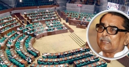 দুর্নীতিবিরোধী পদক্ষেপ একপর্যায়ে থমকে যায়: সংসদে মেনন