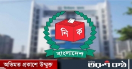 জাতীয় সংসদ নির্বাচনের রোডম্যাপ অনুমোদন, শিগগিরই প্রকাশ