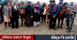 মান্দায় গ্রামীণ ঐতিহ্যবাহী ঘোড়াদৌড় প্রতিযোগিতা অনুষ্ঠিত