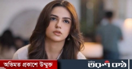 সিনেমায় আসার আগে কী করতেন সাইয়ারা’র নায়িকা