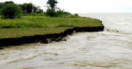 বিপদসীমার কাছাকাছি পদ্মার পানি