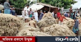 জমে উঠেছে শতবর্ষী পাটের হাট, ভালো দামে খুশি কৃষকরা জমে উঠেছে শতবর্ষী পাটের হাট, ভালো দামে খুশি কৃষকরা