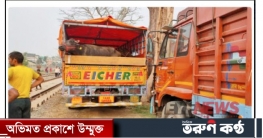 ভারত থেকে ৬৪ টি মহিষ আমদানি করা হয়েছে ভারত থেকে ৬৪ টি মহিষ আমদানি করা হয়েছে