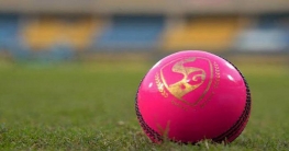 বাংলাদেশ-ভারতের ঐতিহাসিক গোলাপী টেস্ট সমাচার