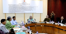 রিকশার জন্য আলাদা লেন নির্মাণের নির্দেশ প্রধানমন্ত্রীর