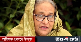 অপ্রতিরোধ্য গতিতে এগিয়ে যাবে বাংলাদেশ: প্রধানমন্ত্রী