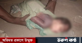 জামালপুর নবজাতকদের মৃতদেহ উদ্ধার