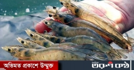 মহাকাশে গেল চিংড়ি মাছ মহাকাশে গেল চিংড়ি মাছ