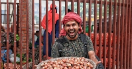 পেঁয়াজের সাথে আমি দেব না তোমার তুলনা