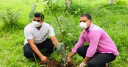 গুলশান থানা ছাত্রলীগের উদ্দ্যোগে বৃক্ষরোপন কর্মসূচি পালন গুলশান থানা ছাত্রলীগের উদ্দ্যোগে বৃক্ষরোপন কর্মসূচি পালন