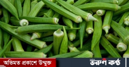পুষ্টিগুণে ভরা ঢেঁড়স