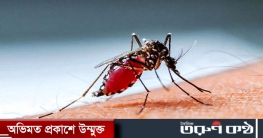 ডেঙ্গু ও চিকুনগুনিয়া প্রতিরোধে স্বাস্থ্য পরামর্শ অনুসরণের আহ্বান