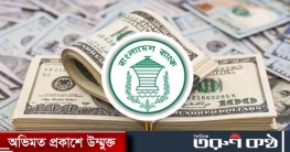 রিজার্ভ বেড়ে ৩১.৬৮ বিলিয়ন মার্কিন ডলার