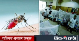 মশার কামড়ে ৩৫ জনের মৃত্যু
