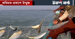 আজ শেষ হচ্ছে ইলিশ ধরার নিষেধাজ্ঞা