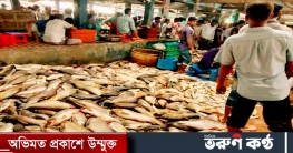 অক্সিজেন সংকটে মারা গেল ১২ কোটি টাকার মাছ