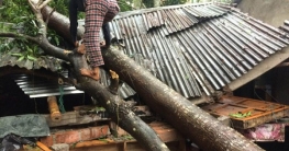 শ্যামনগরে ৫ হাজার ঘরবাড়ি বিধ্বস্ত