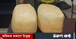 যাত্রাবাড়ীতে ১০ কেজি গাঁজাসহ গ্রেফতার ২