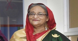 রাষ্ট্রপতির সঙ্গে দেখা করতে বঙ্গভবনে যাচ্ছেন প্রধানমন্ত্রী