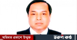 দেশে ফিরছেন না পি কে হালদার