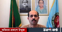 ডিএনসিসিতে বেওয়ারিশ কুকুরের কোনও ক্ষতি হবে না: আতিক