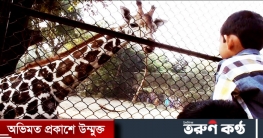 বিনামূল্যে চিড়িয়াখানায় প্রবেশের সুযোগ