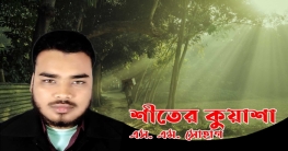 শীতের কুয়াশা - এস. এম. সোহাগ