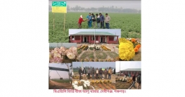জঙ্গল এখন উচ্চ ফলনশীল ফসলের মাঠ সৌন্দর্য্য ছড়াচ্ছে নান্দনিক ফুলের