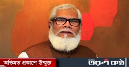 পুঁজিবাজার যেভাবে আগাচ্ছে, ভবিষ্যৎ ভালো: সালমান এফ রহমান