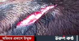শরীয়তপুরে পূর্বশত্রুতার জেরে আড়াই মাসের ষাড় বাছুরকে কুপিয় জখম শরীয়তপুরে পূর্বশত্রুতার জেরে আড়াই মাসের ষাড় বাছুরকে কুপিয় জখম