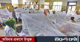 ঢাকায় আরও ২২১ ডেঙ্গু রোগী ঢাকায় আরও ২২১ ডেঙ্গু রোগী