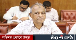 ৫ আগস্ট ঘিরে নাশকতার শঙ্কা নেই : স্বরাষ্ট্র উপদেষ্টা
