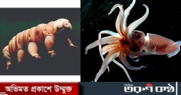 মহাকাশে পানি ভালুক ও স্কুইড পাঠাচ্ছে নাসা