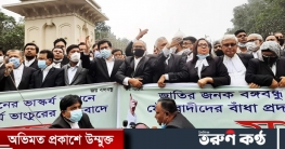 বঙ্গবন্ধুর ভাস্কর্য ভাঙচুরের প্রতিবাদে আইনজীবীদের মানববন্ধন
